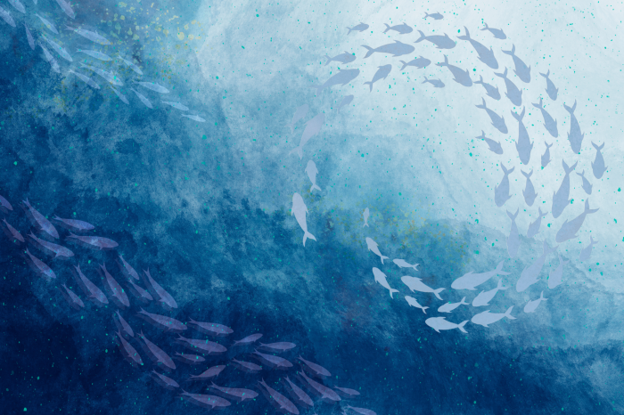 Poster  Des bancs de poissons dans les profondeurs bleues