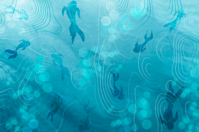 Poster  Poissons nageant sur un motif aquatique avec des lignes