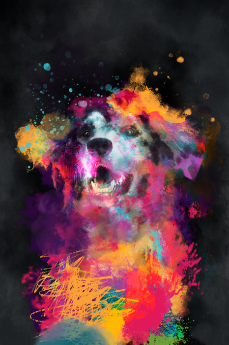 Poster  Un chien dans une composition dynamique et multicolore