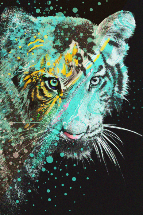 Poster  Portrait de tigre avec des accents menthe et jaune