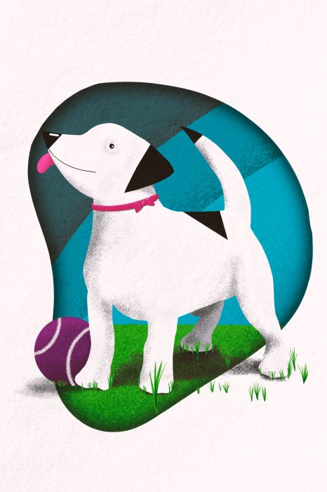 Poster  Illustration d'un chien avec une balle violette