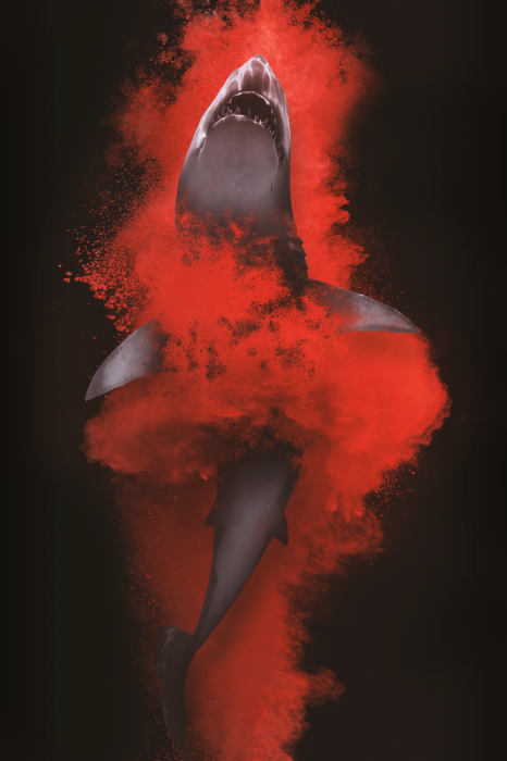 Poster  Requin abstrait en rouge