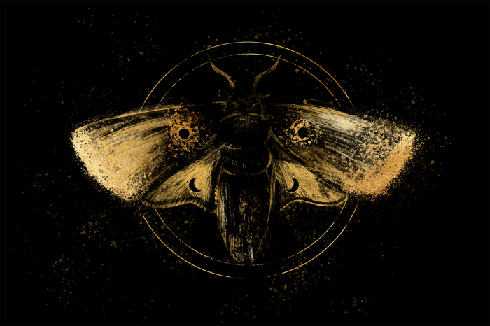 Poster  Un papillon doré dans une composition sombre