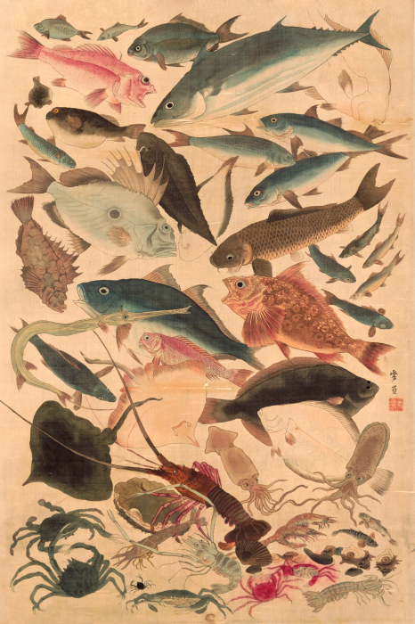Poster  Composition artistique de la faune marine