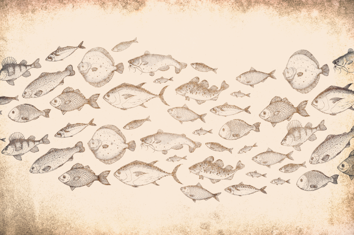 Poster  Poisson dans une palette beige et marron