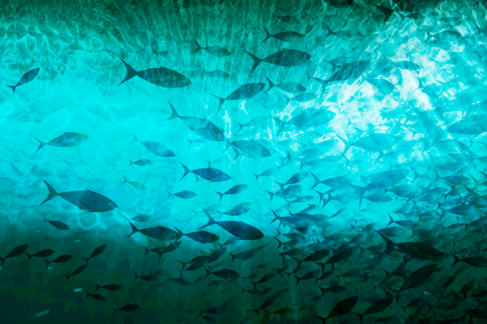 Poster  Poisson dans un cadre sous-marin lumineux