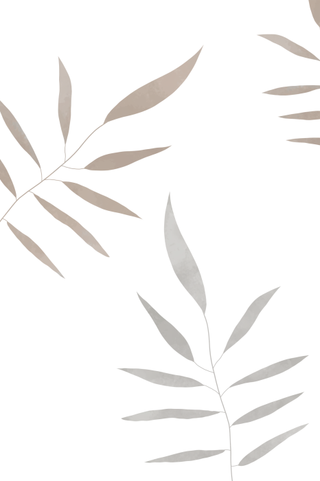 Poster  Feuilles minimalistes sur fond blanc