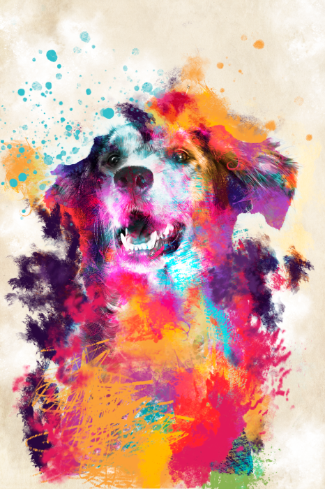 Poster  Illustration colorée à l'aquarelle d'un chien