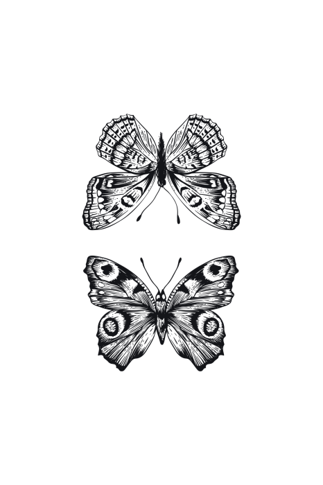 Poster  Une paire de papillons dans une illustration en noir et blanc