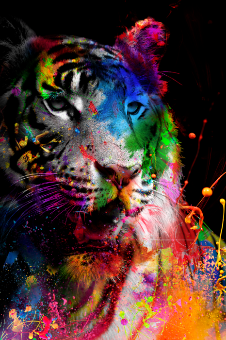 Poster  Portrait coloré d'un tigre avec une lumière contrastée