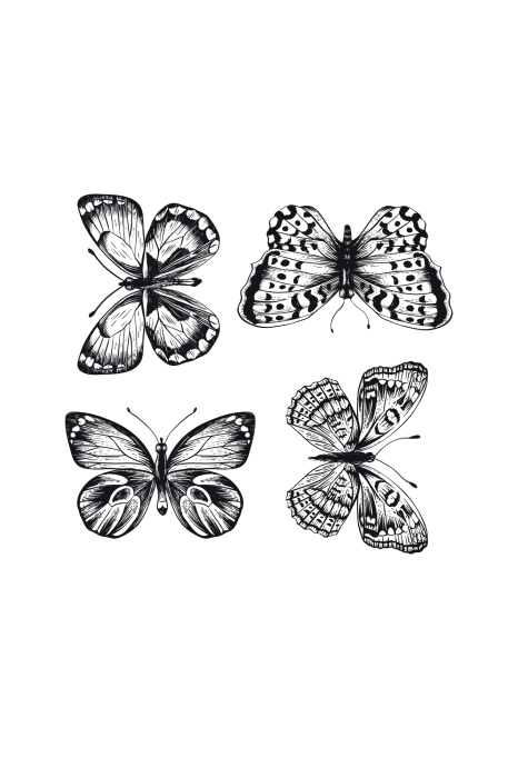 Poster  Un dessin de quatre papillons en noir et blanc