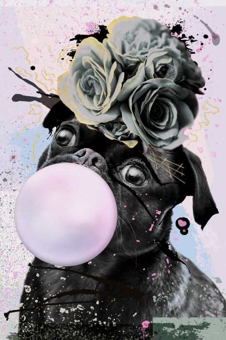 Poster  Carlin avec des roses rose bonbon et grises