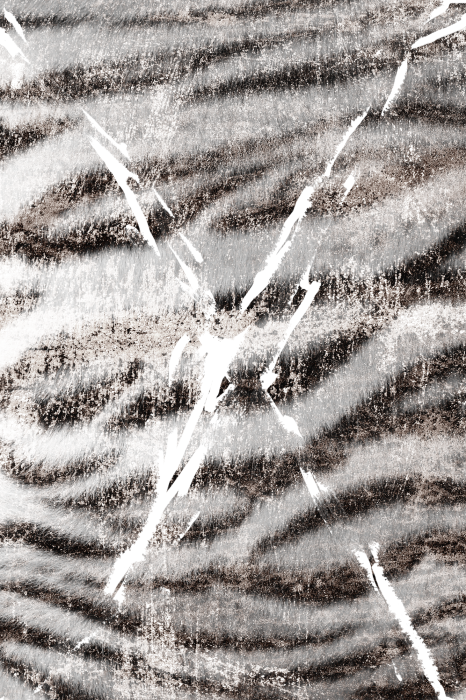 Poster  Motif animal avec fourrure de tigre blanc