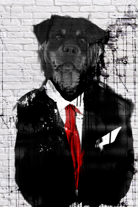Poster  Portrait d'un rottweiler en costume élégant