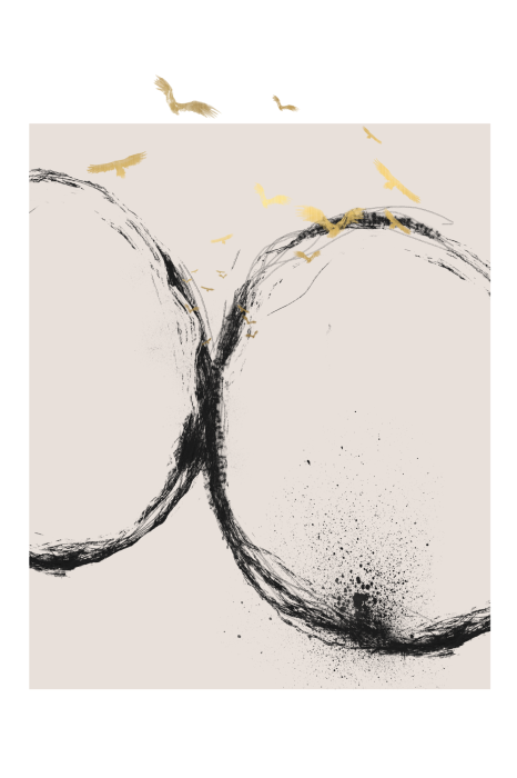 Poster  Oiseaux dorés sur des cercles noirs