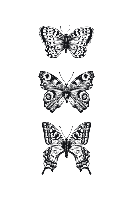 Poster  Trois papillons noirs et blancs disposés verticalement