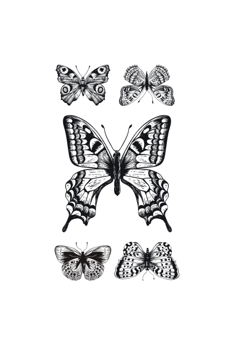 Poster  Une composition avec cinq papillons en noir et blanc
