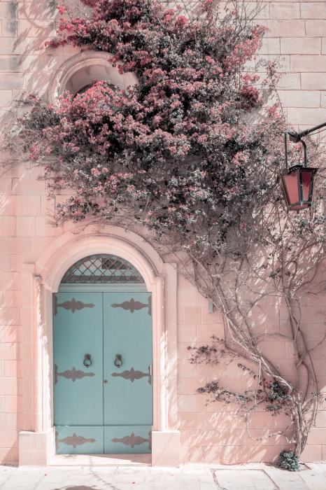 Poster  Entrée remplie de plantes avec porte bleue