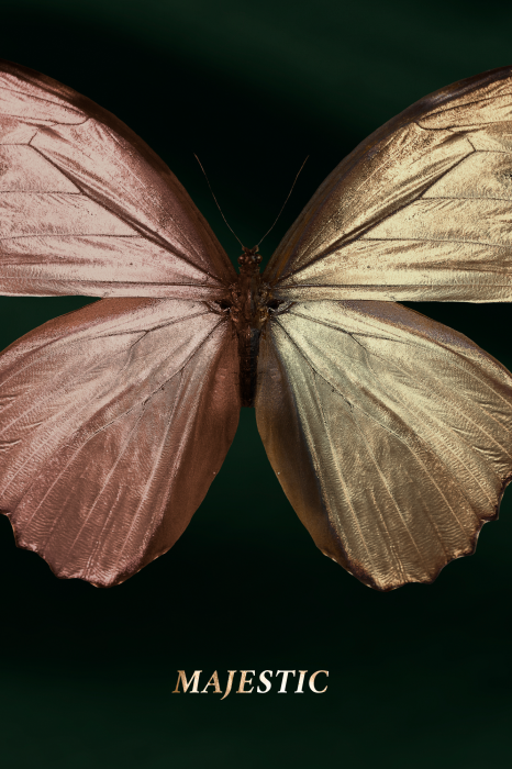 Poster  Un papillon rose et or avec le mot Majestueux inscrit dessus