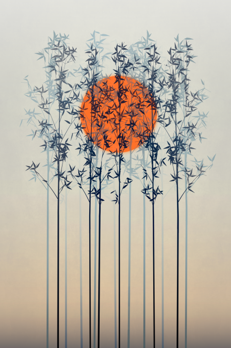 Poster  Le soleil caché dans la cime des branches délicates