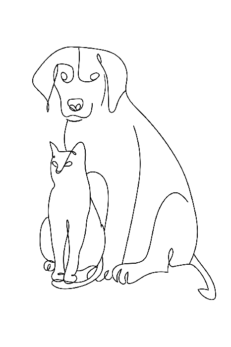 Poster  Illustration minimaliste au trait représentant un chien et un chat.