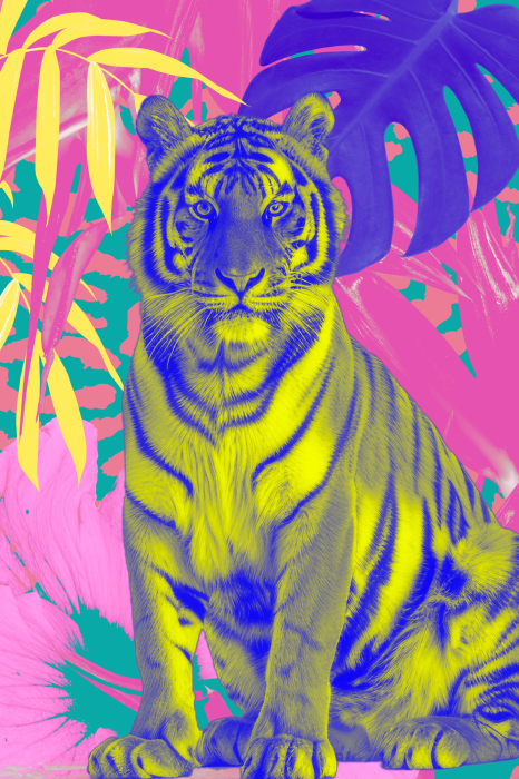 Poster  Tigre jaune et bleu dans une jungle colorée
