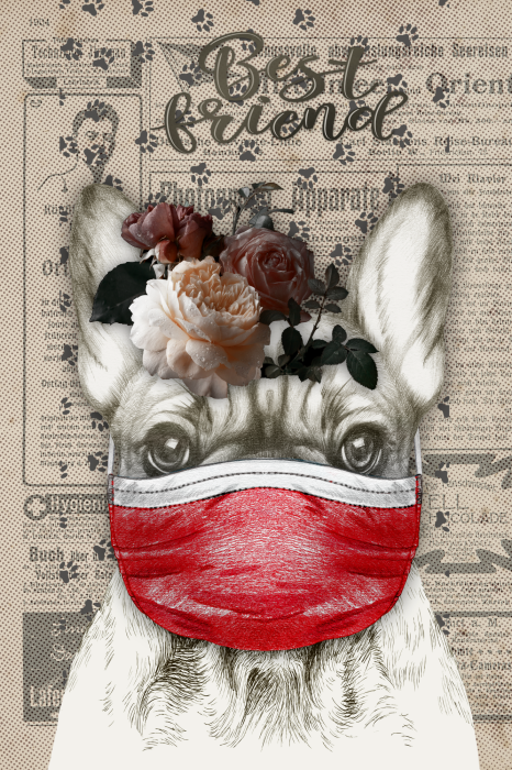 Poster  Un chien avec un masque et des roses sur la tête