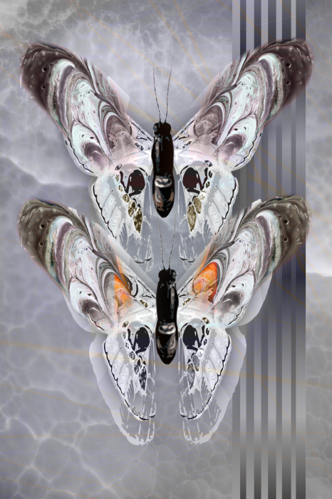 Poster  Deux papillons dans une composition grise