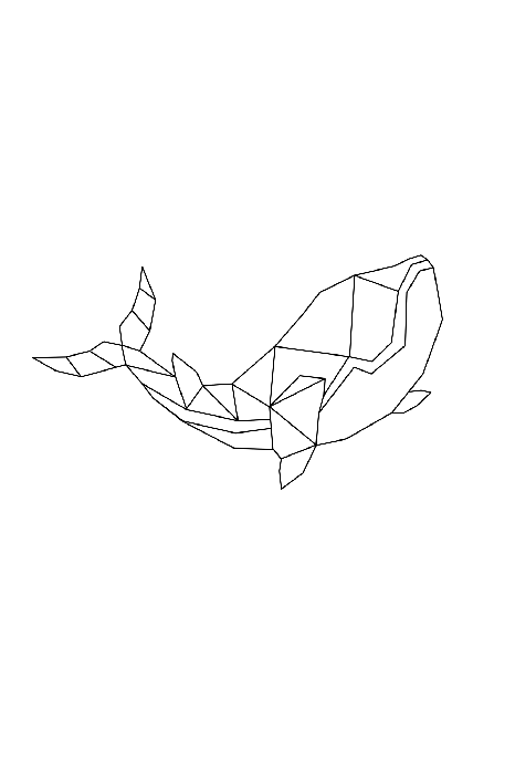 Poster  Dessin géométrique de contour d'une baleine