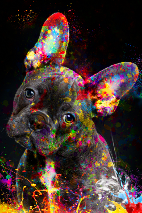 Poster  Un portrait expressif d'un bouledogue français recouvert de peinture.