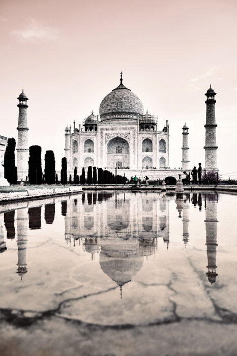 Poster  Le Taj Mahal en monochrome pastel