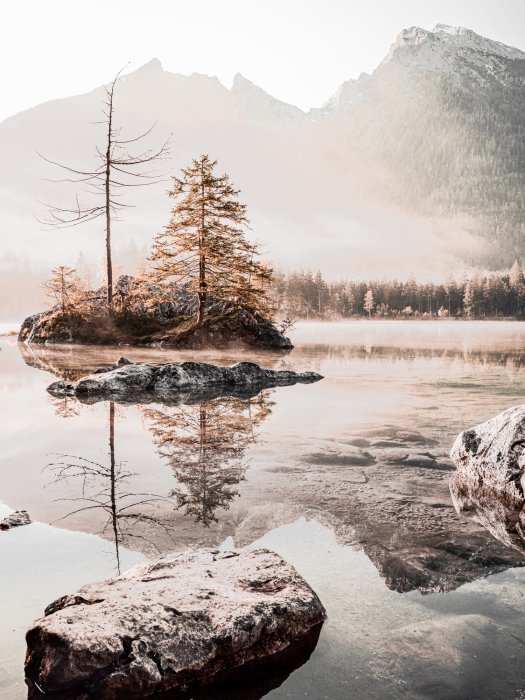 Poster  Matin ensoleillé dans les montagnes avec brouillard paysage pittoresque