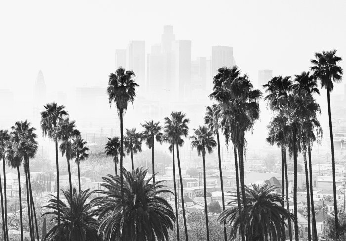 Poster  Los Angeles paysage en noir et blanc avec des palmiers