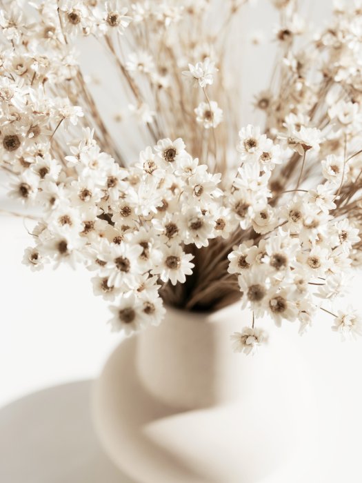 Poster  Fleurs blanches dans un vase de style bohème