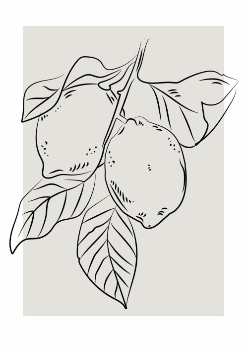 Poster  Citrons sur une branche dessin minimaliste