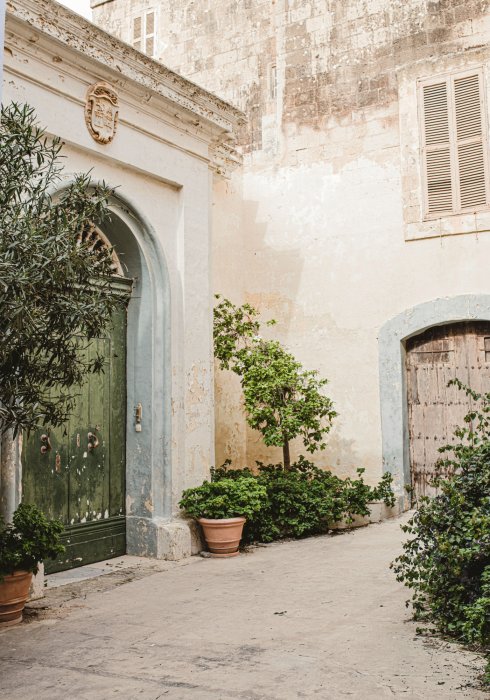 Poster  Olivo y arquitectura histórica