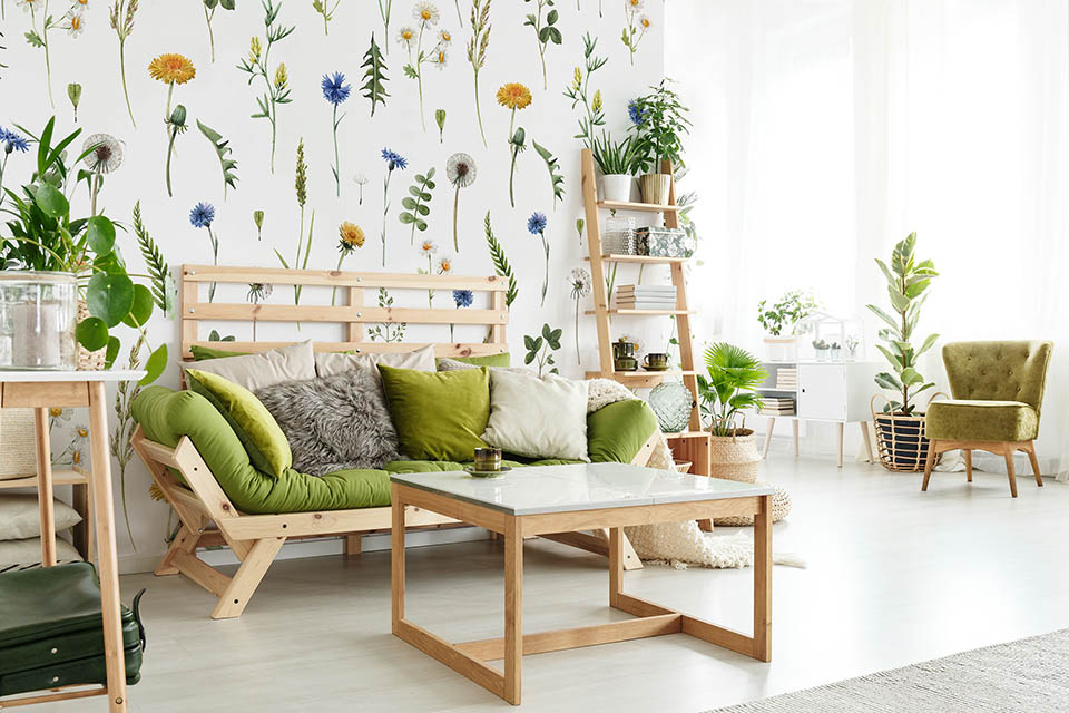 Papier peint fleurs de strelitzia