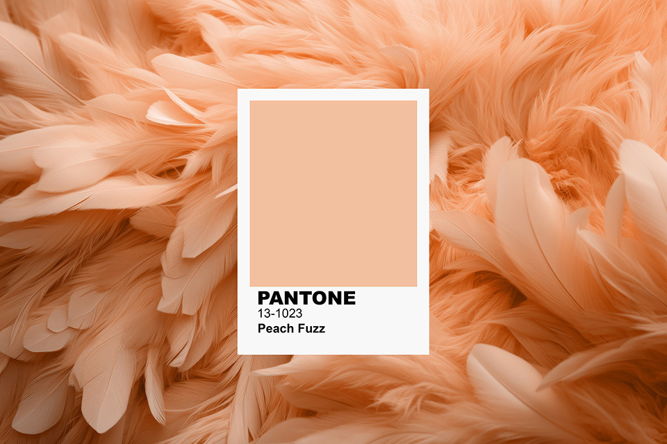 Peach Fuzz - couleur de l'année