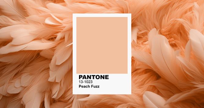 La couleur Pantone de l'année 2024 - comment styliser Peach Fuzz dans vos intérieurs ?