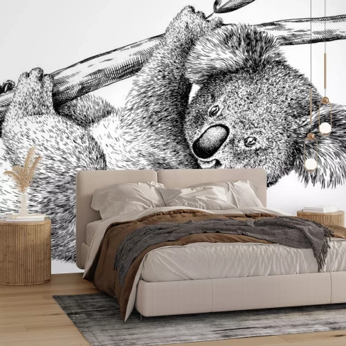 Sticker  Dessin noir et blanc d'un koala