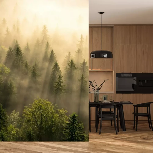 Sticker  Arbres dans la brume dorée du matin