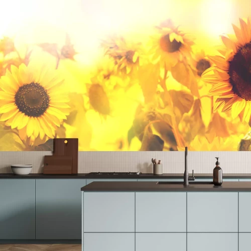 Sticker  Tournesols dans les rayons du soleil