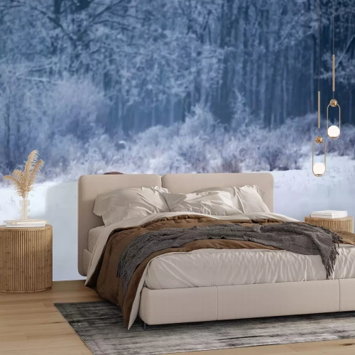 Papier peint  Le renard rouge marche dans la forêt sur la neige