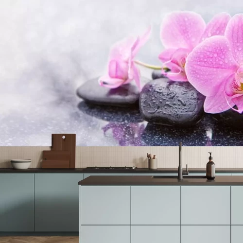 Sticker  Orchidées humides roses disposées sur des pierres