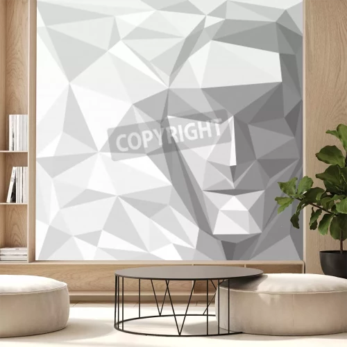Papier peint  3d géométrique visage