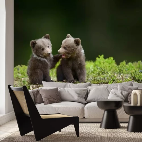 Papier peint  Des ours assis sur la mousse végétale