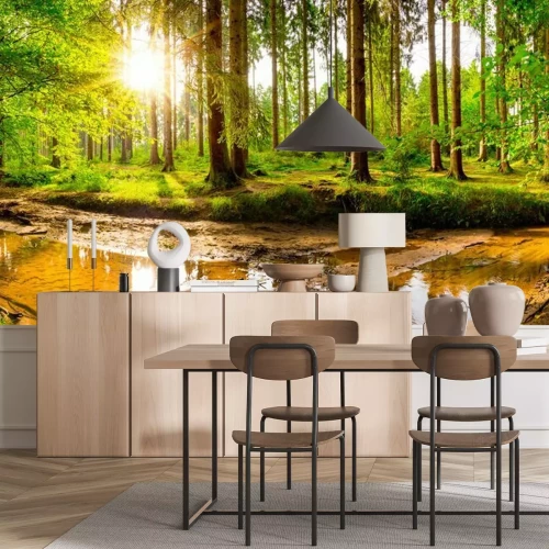 Papier peint  Ruisseau dans une forêt verte