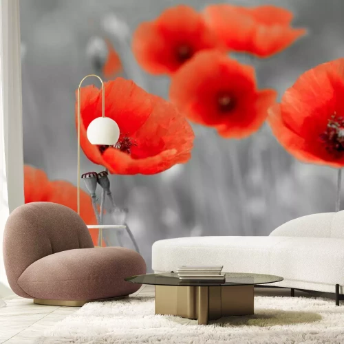 Papier peint  Fleurs rouges sur fond gris