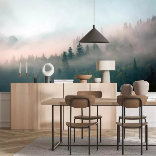 Papier peint  Brume du matin en forêt de montagne