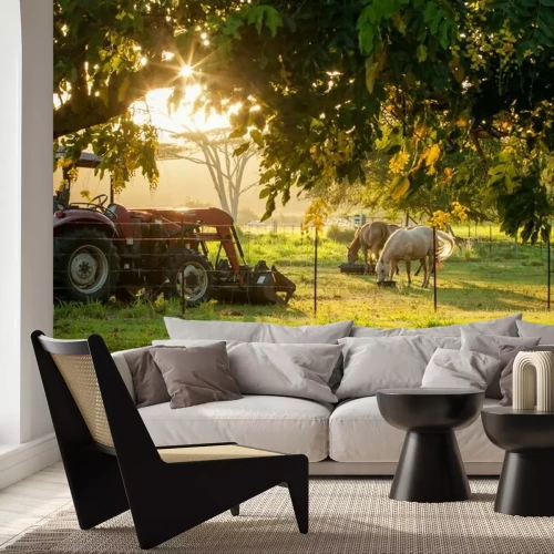 Papier peint  Farm Sunset